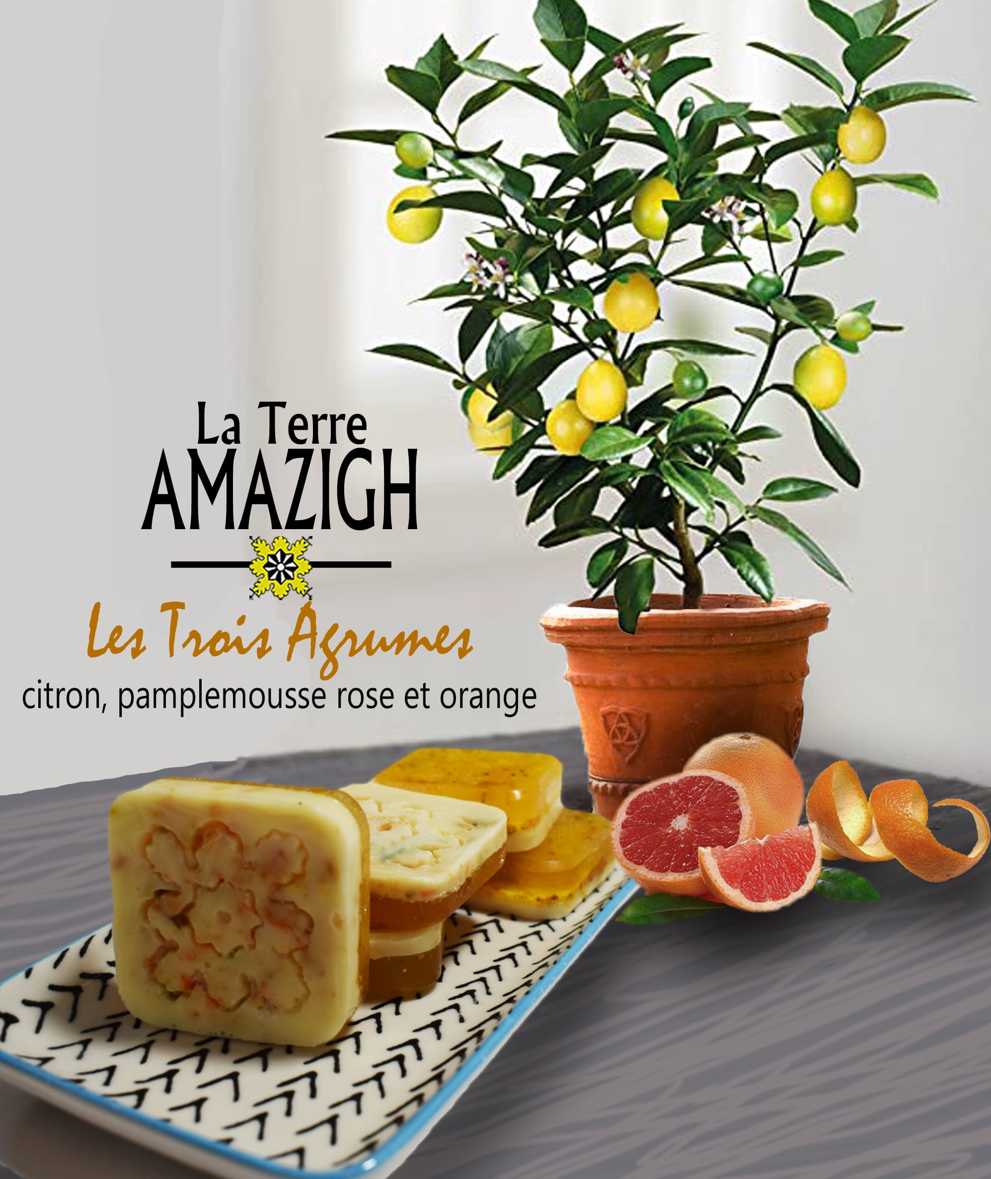 savons artisanle 100%naturelle